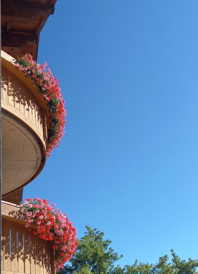Apartamento Al Truciolo Andalo Exterior foto